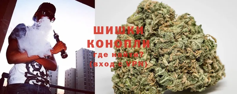 Шишки марихуана White Widow  гидра рабочий сайт  Гай  купить закладку 